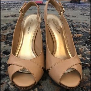 Antonio Melani Slingback Heels
